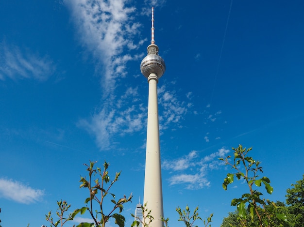 베를린의 Fernsehturm (TV 타워)