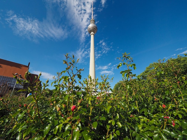 ベルリンのFernsehturm（テレビ塔）