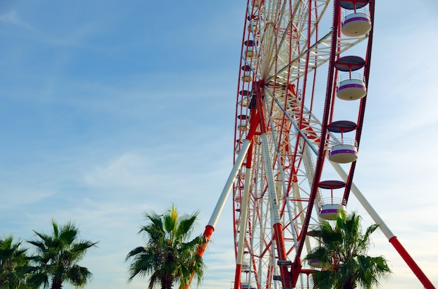 Ferris wheel against the sky and palm trees.