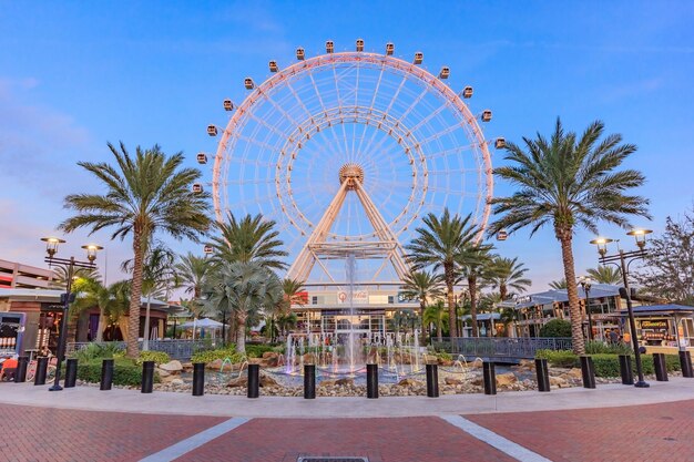 Ferris wheel by palm trees against blue sky