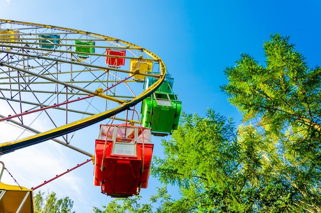 A ferris wheel in a park with trees in the background.