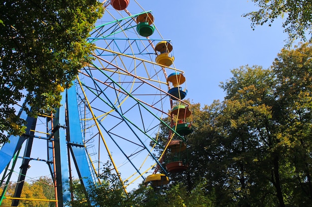 Ferris wheel in a park