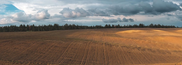 Fertile agricultural fields for sowing and growing crops