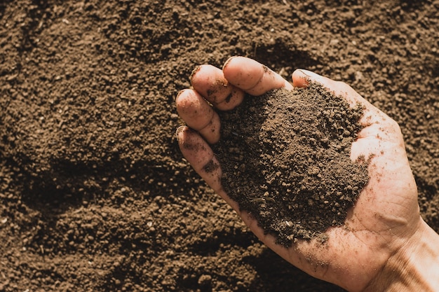 Photo a fertile loam in the hands of a farmer man.