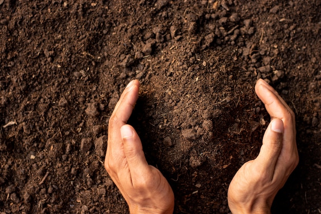 Il terriccio fertile è adatto per piantare alberi.