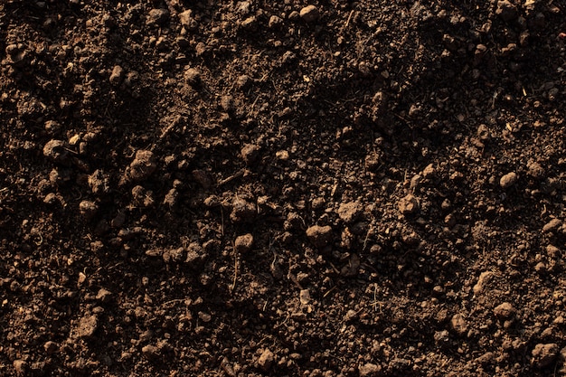 Fertile loam soil suitable for planting.