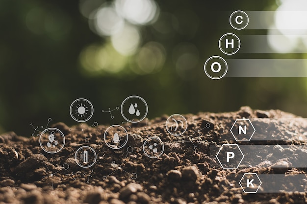 Fertile loam soil suitable for planting