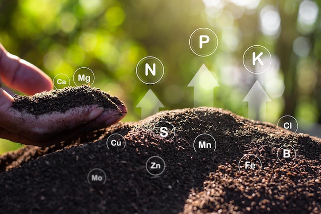 Photo the fertile loamy soil for planting with the iconic technology in soil