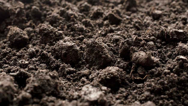 Fertile soil as a background texture top view Soil texture background top view Fertile soil layer humus background texture top view