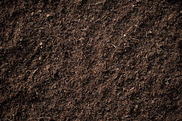 Photo fertile soil.