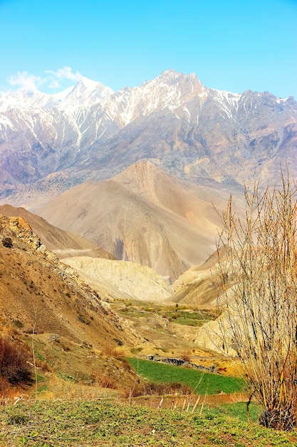 Fertile valley in the Himalayan mountains in the background of snowy peaks blue sky Nepal Kingdom Upper Mustang