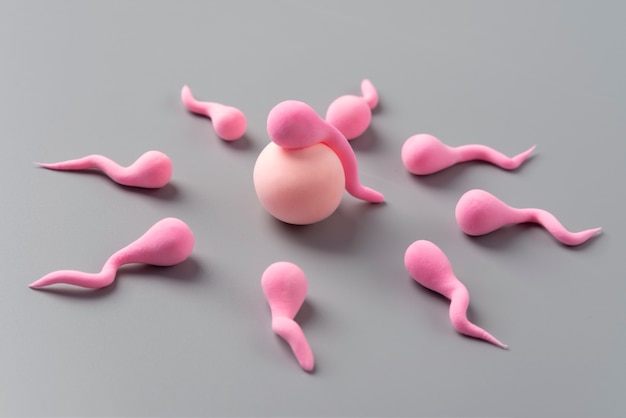 出産する静物画