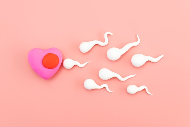 Foto fertilità ancora in vita disposizione