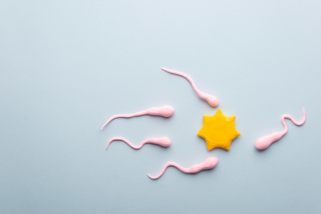 青の背景に受精の概念の卵子精子細胞。出産、受精のトピックに関する医療イラスト。