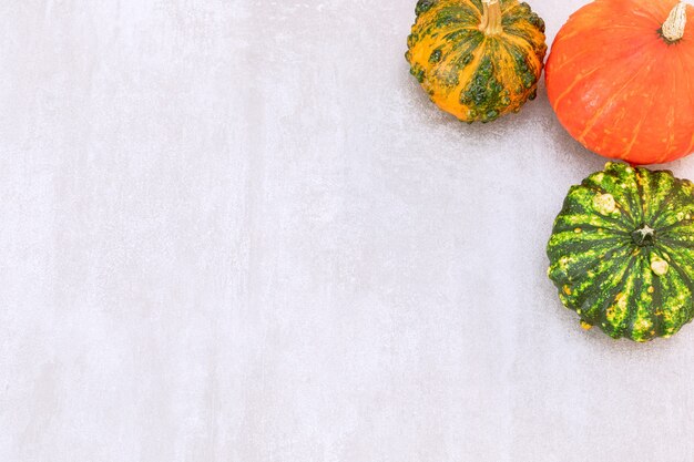 Festive autumn decor from pumpkins on grey concrete background Flat lay autumn composition