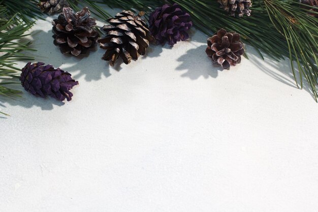 冬の装飾のお祝いの背景クリスマスのお祝いと新年の装飾のコンセプトの下に白い背景の空きスペースに松とカラフルなストロビラ