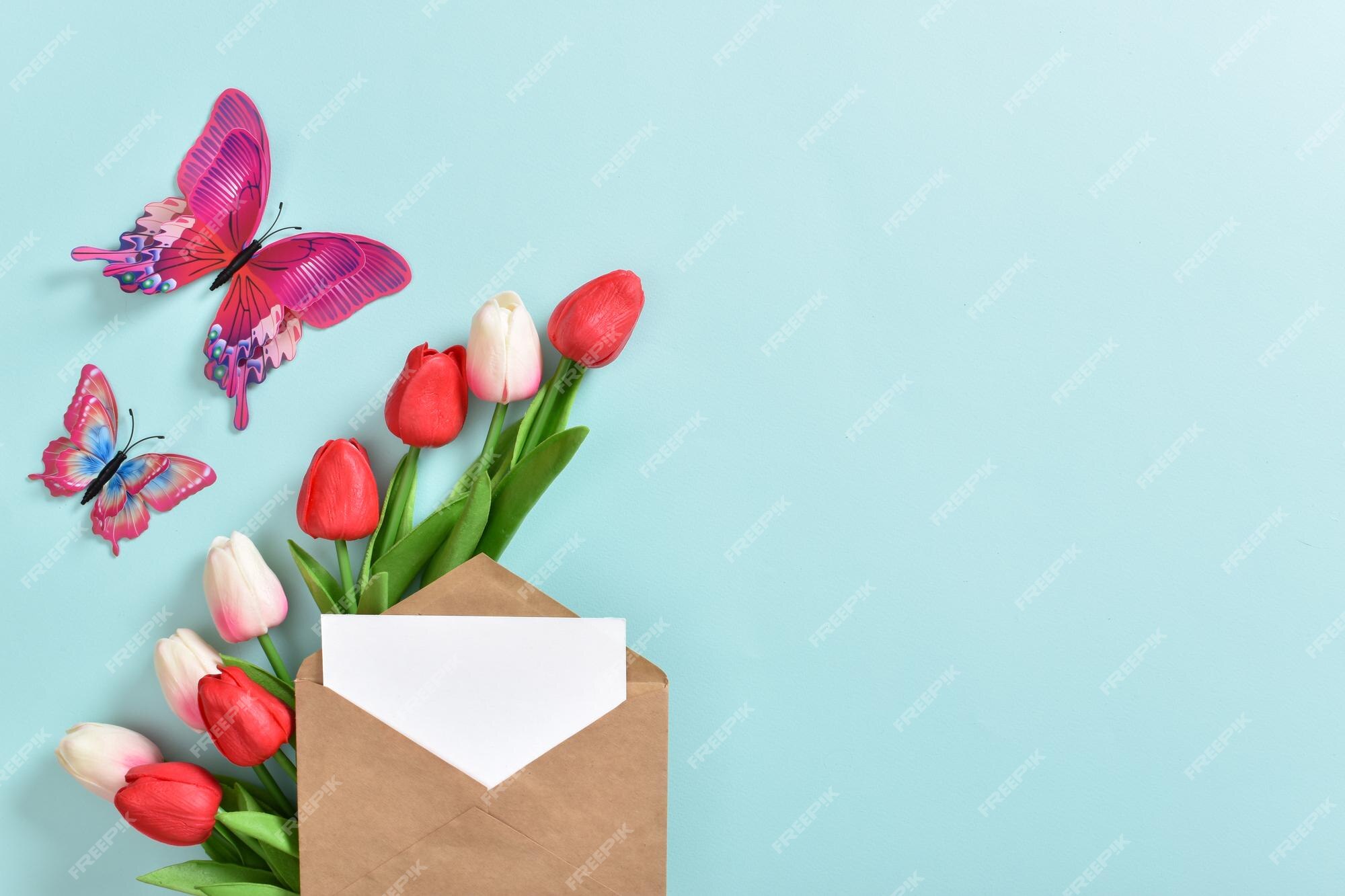 Premium Photo | A festive banner with tulips and an envelope on a light  blue background mother's day women's day happy birthday copy space flat lay  top view