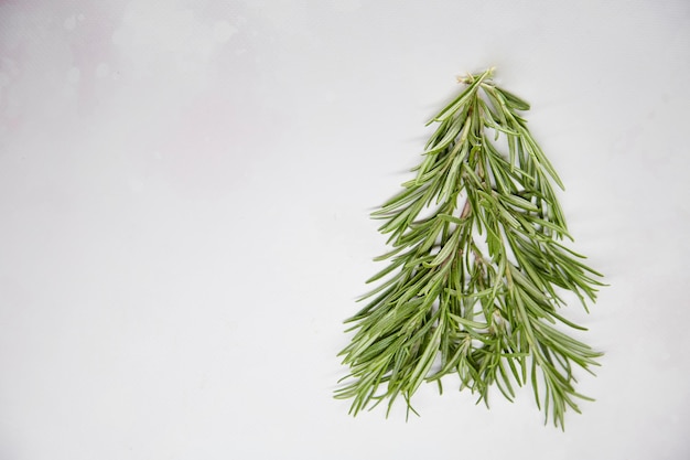 Festive creative Christmas tree made from rosemary Natural holidays food concept Seasonal styling Greenery background Copy space