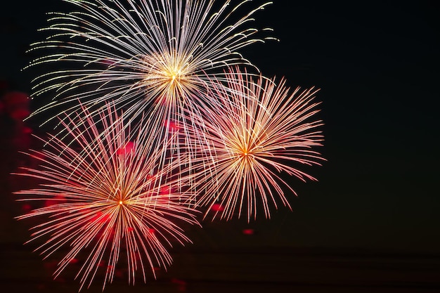 Festive fireworks in the sky for a holiday Bright multicolored salute on a black background