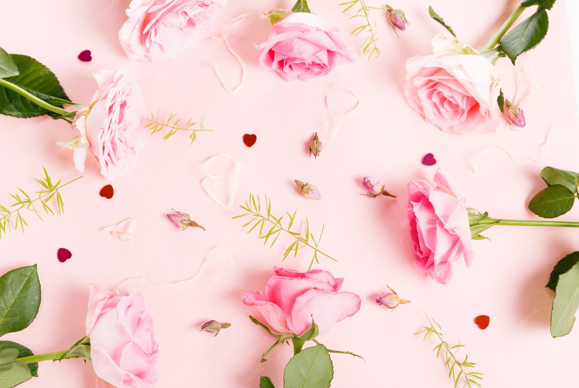 Pink Flower 写真 2 000 高画質の無料ストックフォト Pink Flower 写真 2 000 高画質の無料ストックフォト