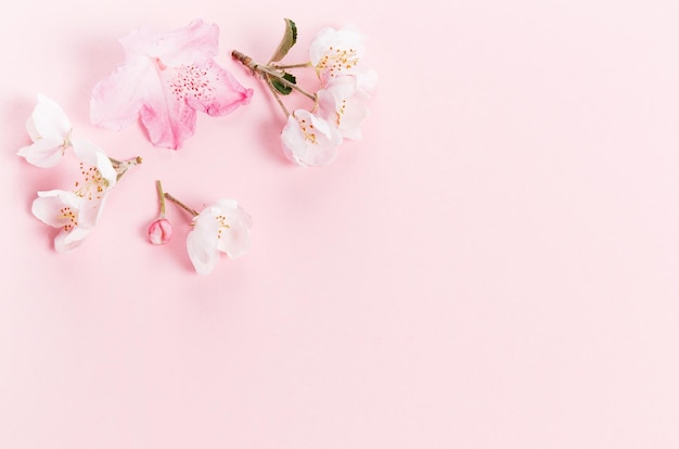 Festive flower composition on the pink background Overhead view