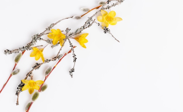 흰색 나무 배경 오버 헤드 보기에 축제 꽃 구성