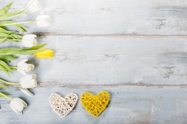 Festive flower white yellow tulips composition handmade heart on blue wooden desk background Overhead top view flat lay Copy space Birthday Mother's Valentines Women's Wedding Day concept