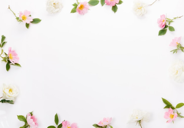 Festive flower wild pink rose composition on the white background. Overhead top view, flat lay. Copy space. Birthday, Mother's, Valentines, Women's, Wedding Day concept.