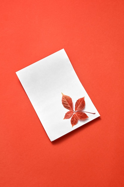 Festive handmade plant composition with blank card and red colored leaf on a coral background, copy space. Flat lay.