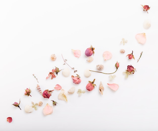 Festive pink dried flower rosebud, seashell, ribbon, green twigs composition on white background. Overhead top view, flat lay. Copy space. Birthday, Mother's, Valentines, Women's, Wedding Day concept.