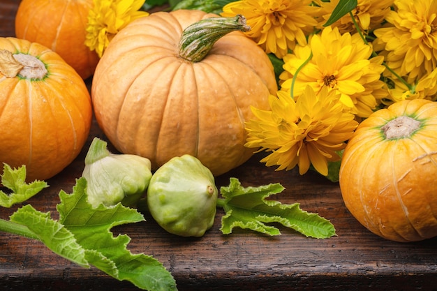 Festive pumpkins, squash and yellow autumn flowers on old wooden surface.