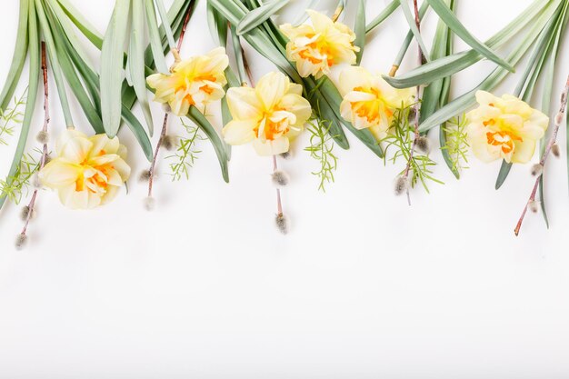 Festive spring flowers daffodils composition on the white background Overhead top view flat lay Copy space Birthday Mothers Valentines Womens Wedding Day concept