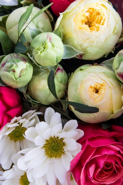 Foto primo piano floreale verticale festivo del fondo della carta da parati della cartolina dei fiori delicati della molla