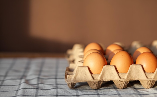 Qualche uovo marrone tra le celle di un grande sacchetto di cartone, un uovo di gallina come prezioso prodotto nutritivo, un vassoio per trasportare e conservare uova fragili. un pacchetto completo di uova, un alimento importante