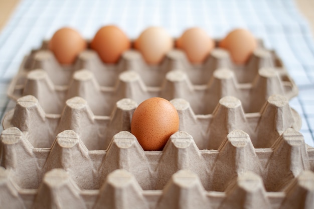 Foto poche uova marroni tra le celle vuote di un grande sacchetto di cartone, un uovo di gallina come prezioso prodotto nutriente