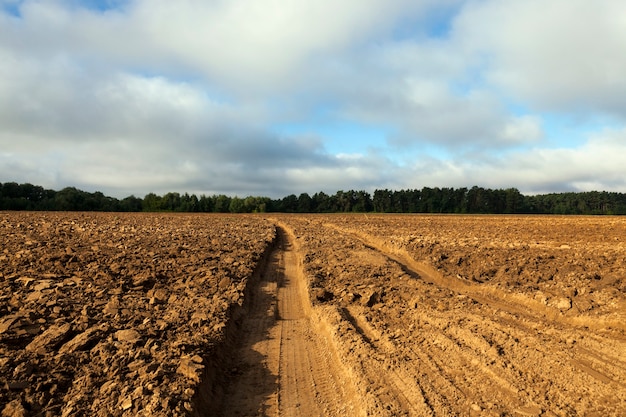 A few deep ruts from a car driving through a plowed soil, the autumn season, a closeup