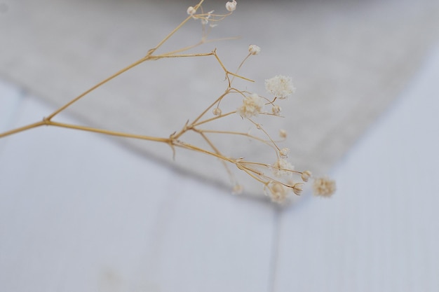 A few dried flowers on a table in the kitchen.