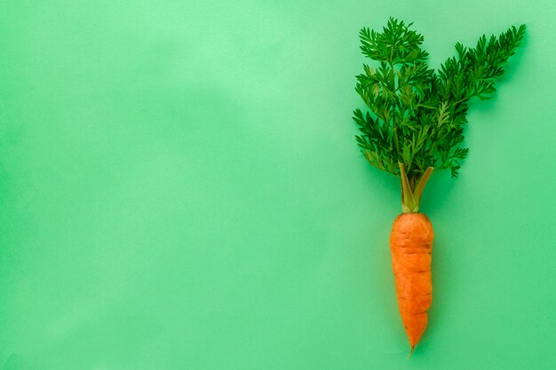 Photo a few fresh carrots