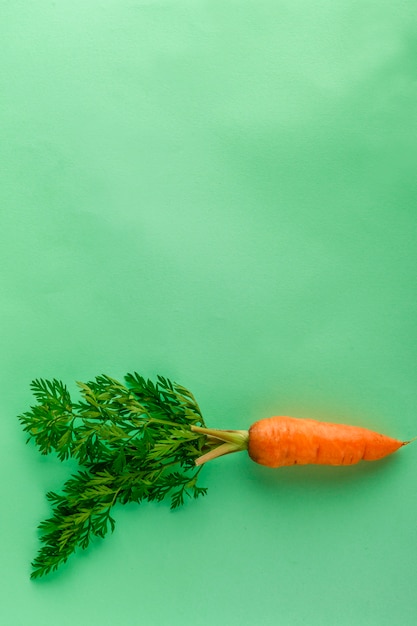 A few fresh carrots