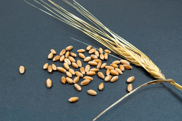 A few grains of wheat and a spikelet on a black surface