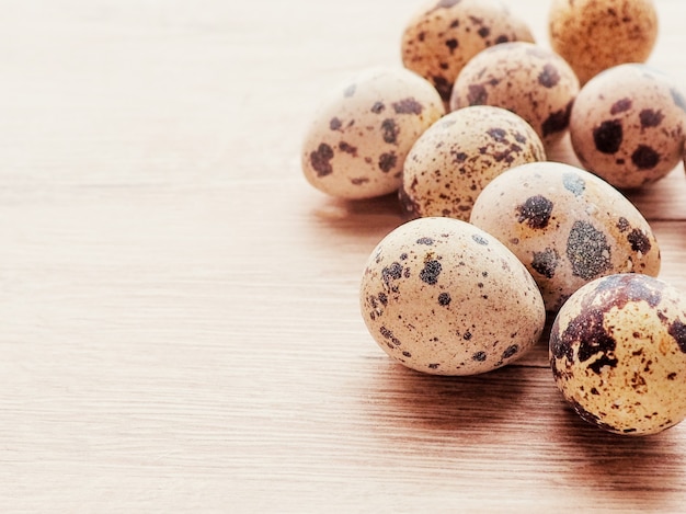 A few quail eggs close-up, a postcard for Easter.