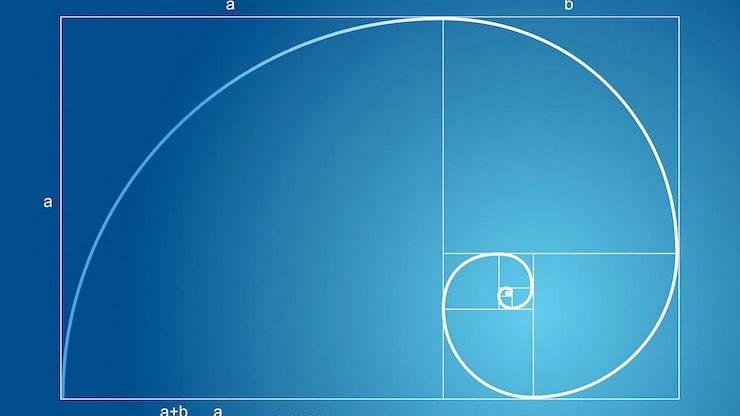 Photo fibonacci sequence spiral visualization exploring golden ratio principles