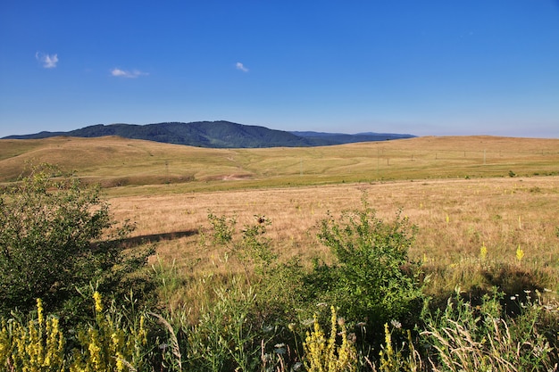 Fied in mountains of Bulgaria