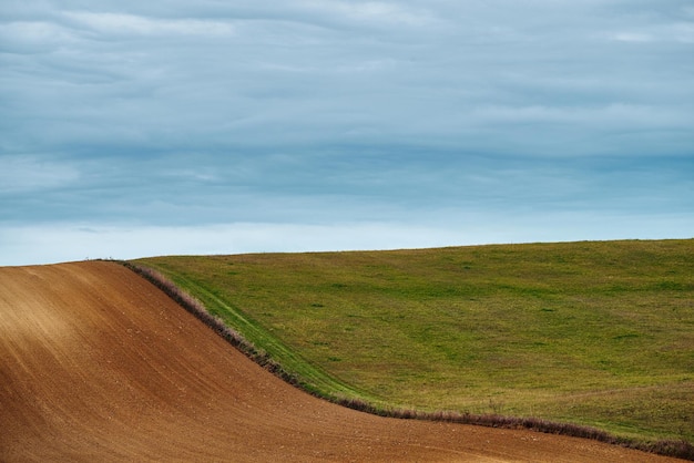 Field abstract