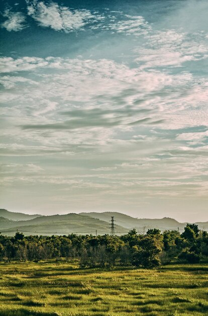 Photo field against sky