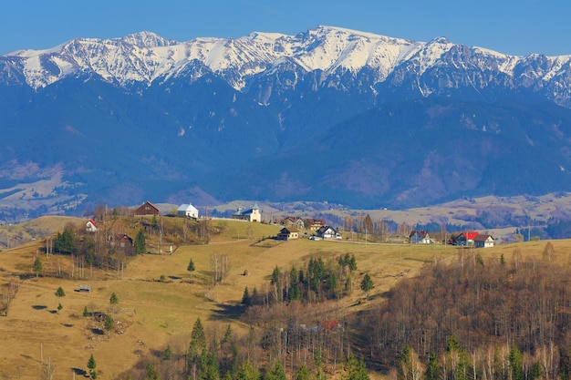 Field against snowcapped mountain