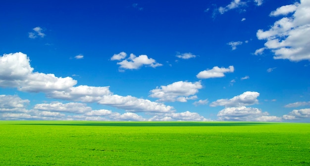 Field on a background of the blue sky