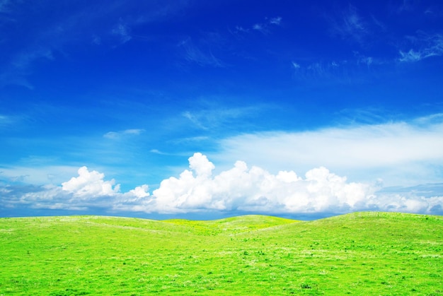 Field on a background of the blue sky