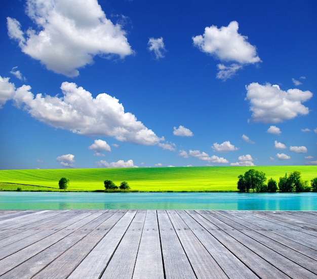 Foto campo su uno sfondo di cielo azzurro