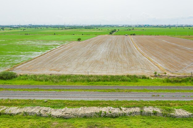 field background top view landscape nature